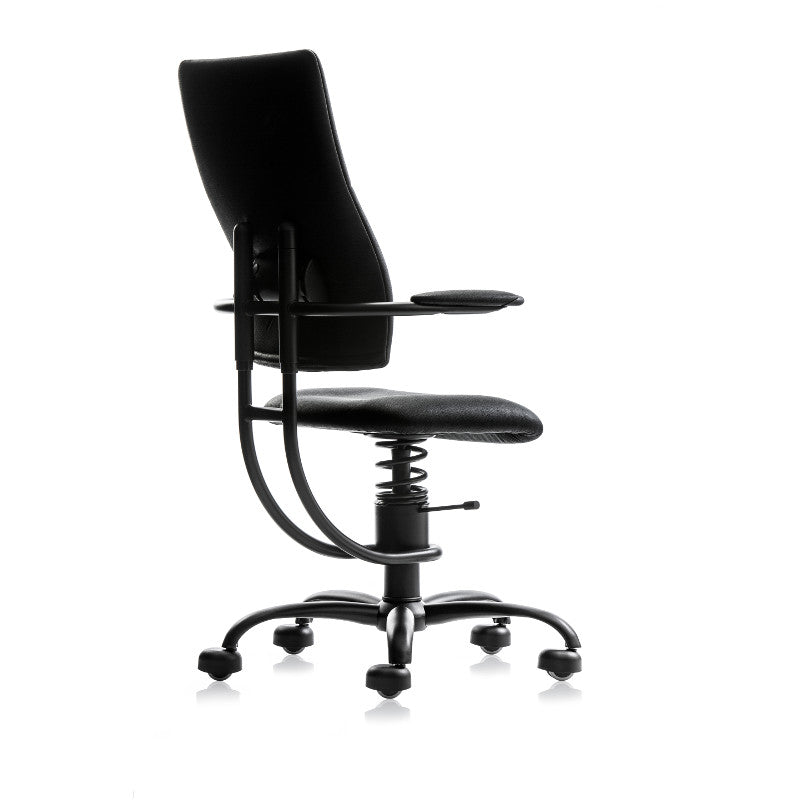 APOLLO - SpinaliS