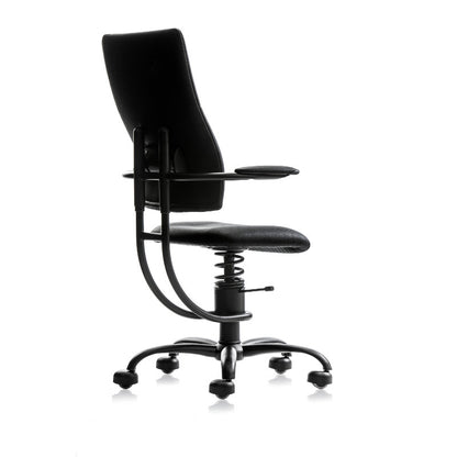APOLLO - SpinaliS